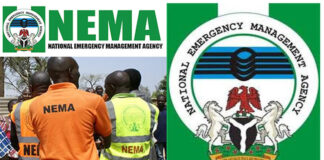 NEMA and 2026 Flood Alerts: Towards Disaster Mitigation