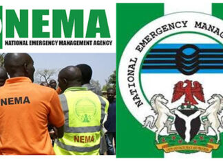 NEMA and 2026 Flood Alerts: Towards Disaster Mitigation