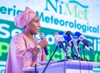 Zubaida Umar and the Slow Rebuilding of Preparedness Culture