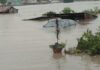 Mokwa Floods: NEMA’s Race Against Time Amid Nigeria’s Recurring Disaster Cycle