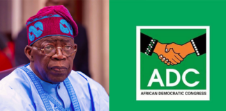 ADC, Defections and the Battle for 2027: Can a Fragmented Opposition Challenge Tinubu?