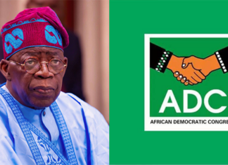 ADC, Defections and the Battle for 2027: Can a Fragmented Opposition Challenge Tinubu?