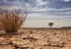 Climate Change and Disaster Management in Nigeria