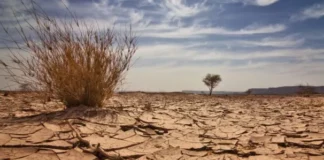 Climate Change and Disaster Management in Nigeria
