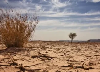 Climate Change and Disaster Management in Nigeria
