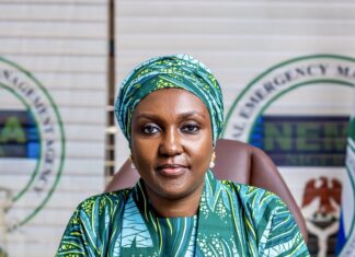 Two Years of Zubaida Umar and the Quiet Reorientation at NEMA